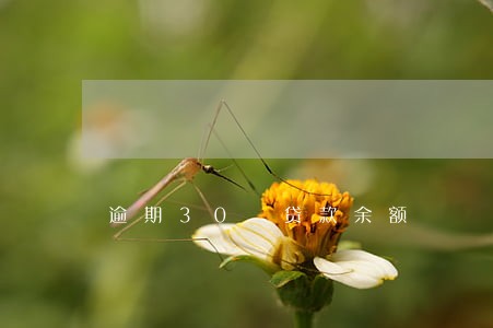 逾期30 贷款余额 逾期30 贷款余额
